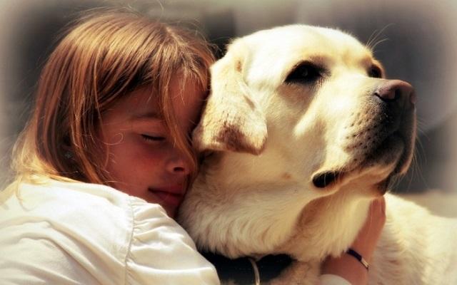 Ученые: Собаки умеют «считывать» эмоции по лицам и голосам людей