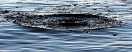 За сутки в водоемах Ленобласти утонули два человека