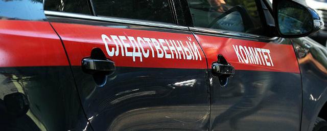 Новосибирский СК проверяет сведения об избиении человека полицейскими