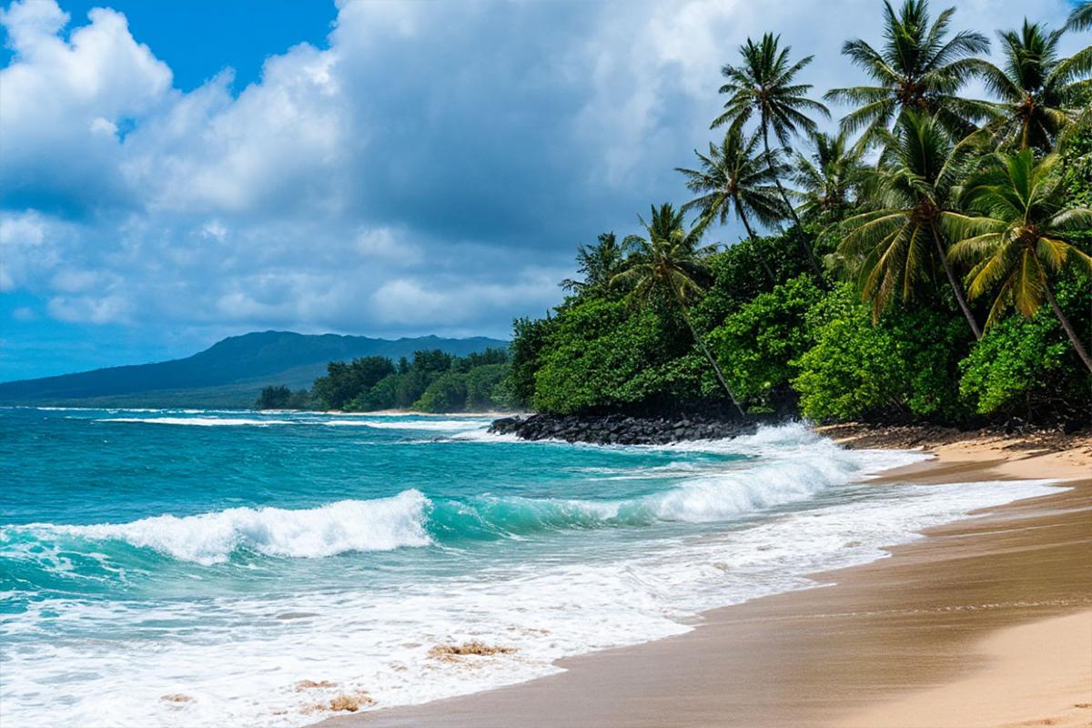 На Гавайях после землетрясения на Камчатке призвали жителей эвакуироваться