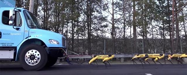 Boston Dynamics представила видео с 10 роботами-псами в упряжке