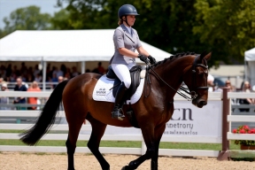 Гонка на 100-летнем ипподроме: в Абакане разыграют первый в истории приз СФО по «Русской тройке»