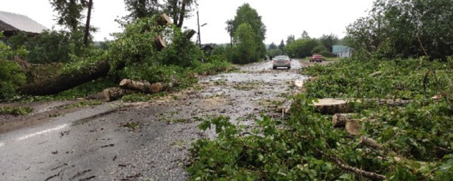 МЧС предупреждает о шквалистом ветре в Кировской области