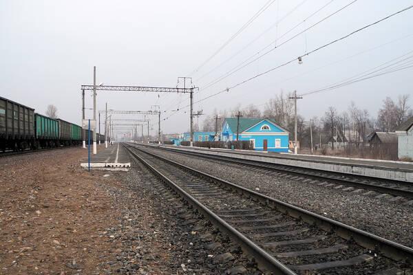 В Брянской области после гибели подростка под колесами поезда завели дело