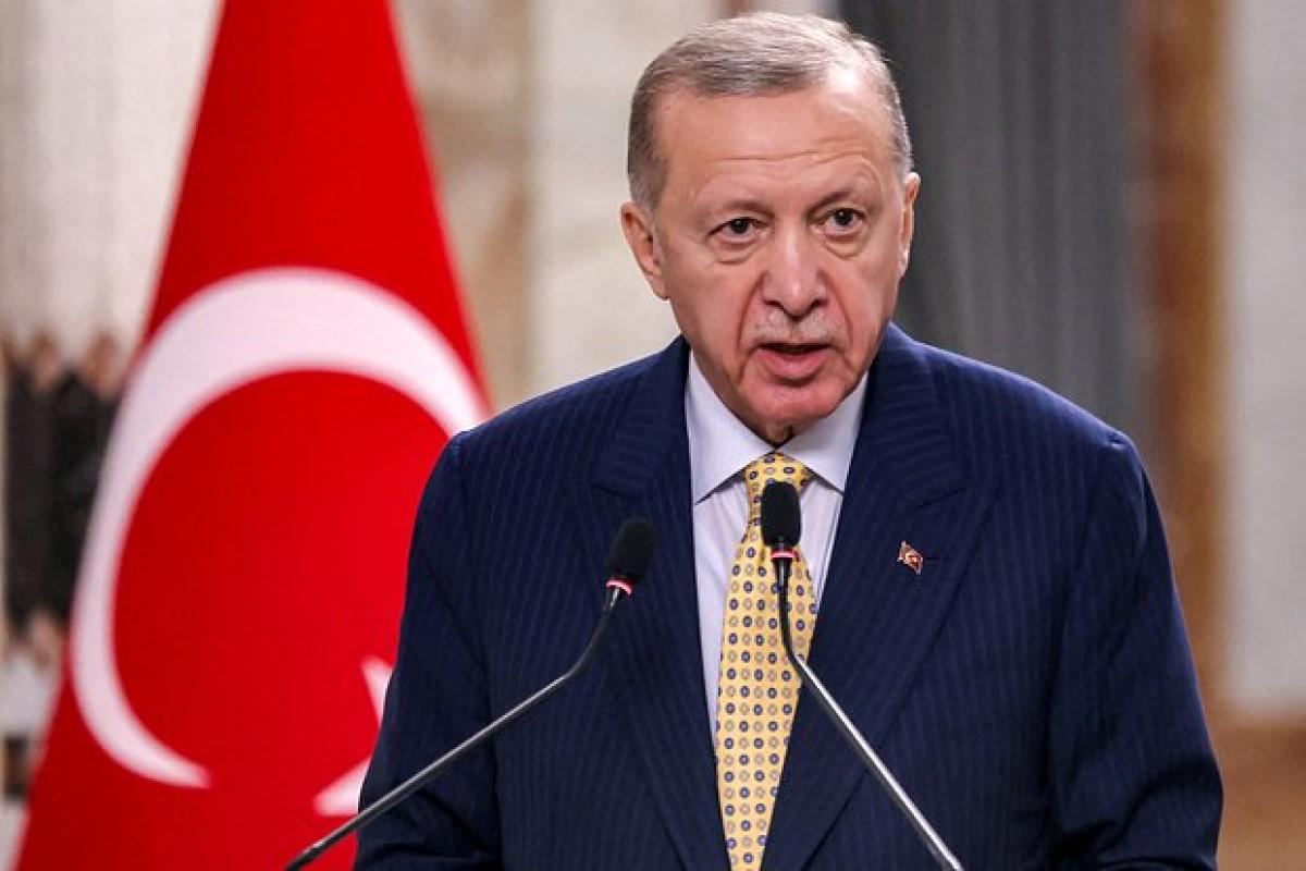 Эрдоган обеспокоен вероятностью прямого противостояния НАТО и России