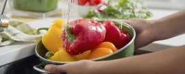 Гастроэнтеролог Марина Лопатина рассказала, как правильно мыть фрукты и овощи