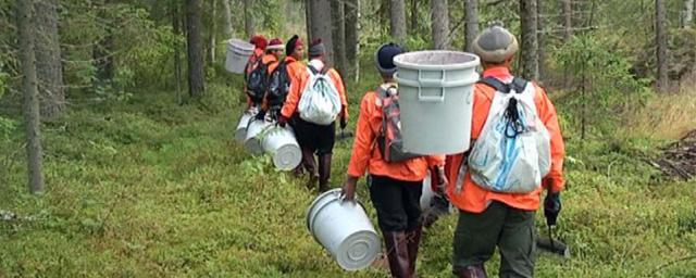 Власти Карелии оказывают содействие в трудоустройстве молодым специалистам