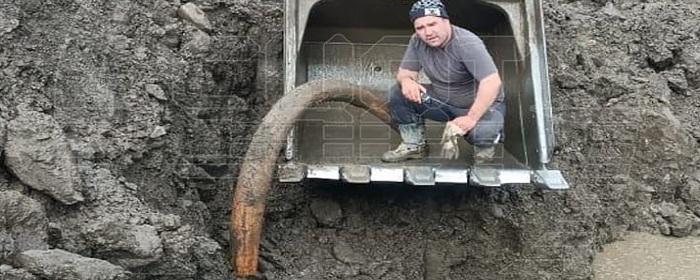Рабочие угольного карьера в Якутии обнаружили останки древнего бизона и мамонта