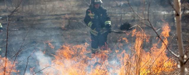 Новосибирцам на время пожароопасного периода запретили посещать леса