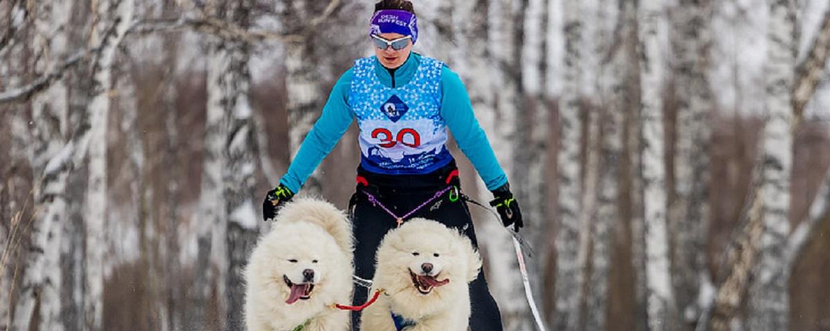 Под Новосибирском провели забег на собачьих упряжках, зрителей очаровала атмосфера азарта и стремления к победе