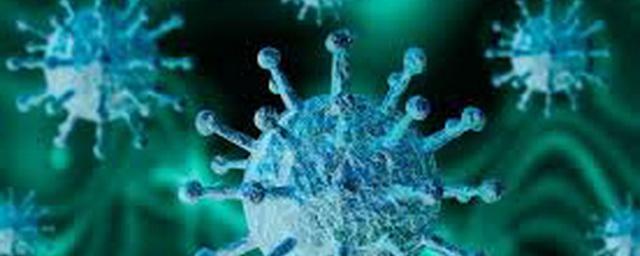 В Новосибирской области подтверждены 78 новых случаев коронавируса