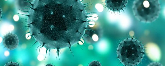 Новый антирекорд: почти 22 тысяч случаев коронавируса выявили в России