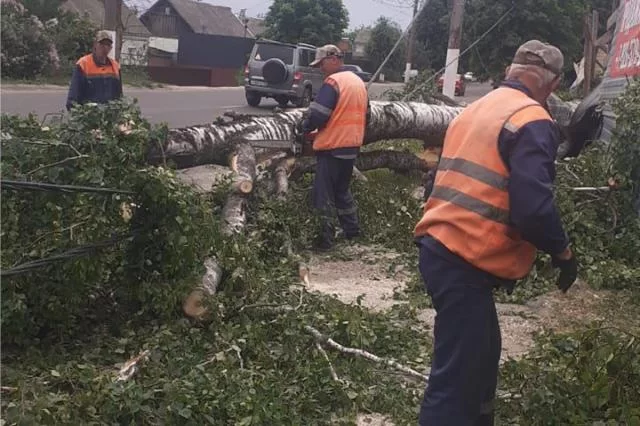 Штормовое предупреждение в Нижегородской области: энергетики перешли в особый режим