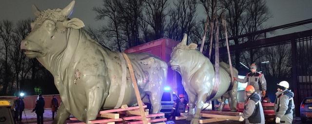 В Санкт-Петербурге на Московском шоссе демонтировали бронзовых быков