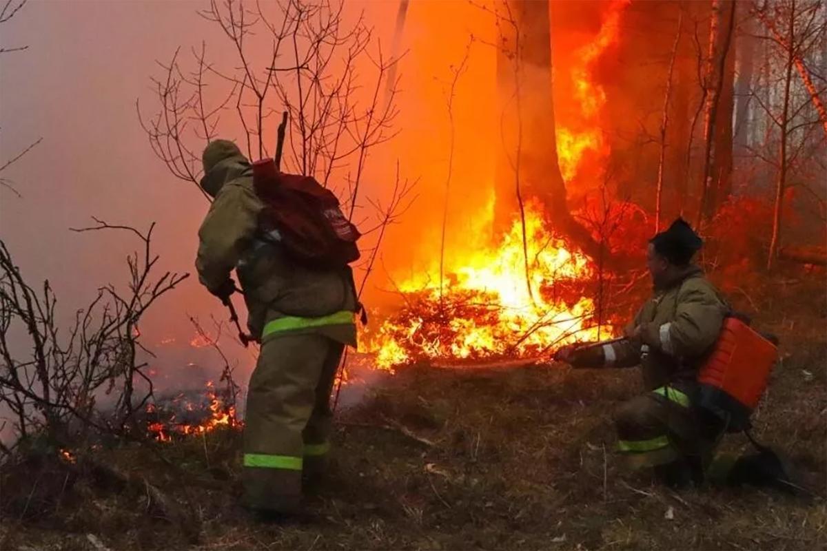 В Хабаровском крае произошел лесной пожар на площади 105 гектаров