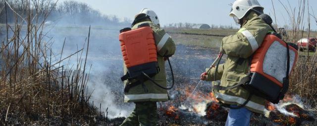 В Ростовской области начал действовать особый противопожарный режим