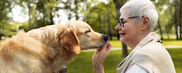 Мичиганский университет: домашние животные положительно влияют на мозг пожилых хозяев