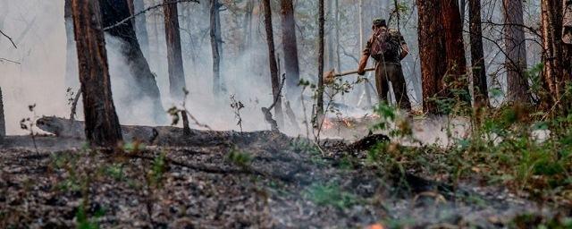 В Приангарье за минувшие сутки ликвидировали 28 лесных пожаров