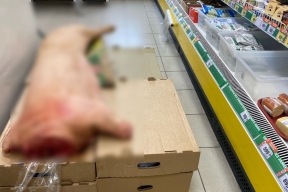 Роспотребнадзор устроил тотальную проверку и нашёл на прилавках тухлятину