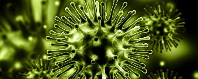 В Приморском крае выявлено 73 новых случая коронавируса