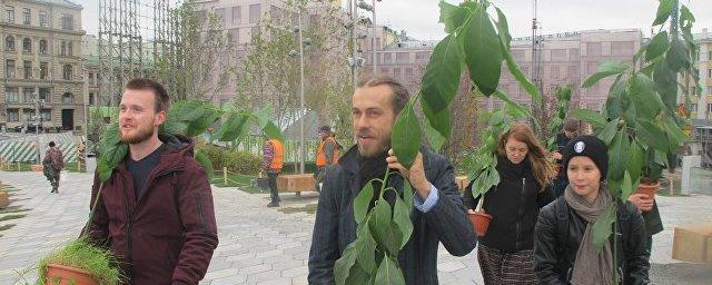 Рэпер Децл подарил московскому парку «Зарядье» два вида авокадо