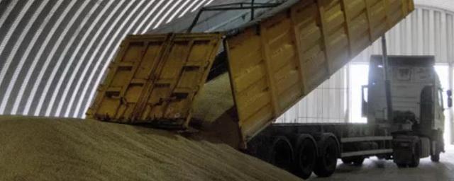 Ловушка для зерна: почему вместо поддержки Украина получила от ЕС продовольственную блокаду