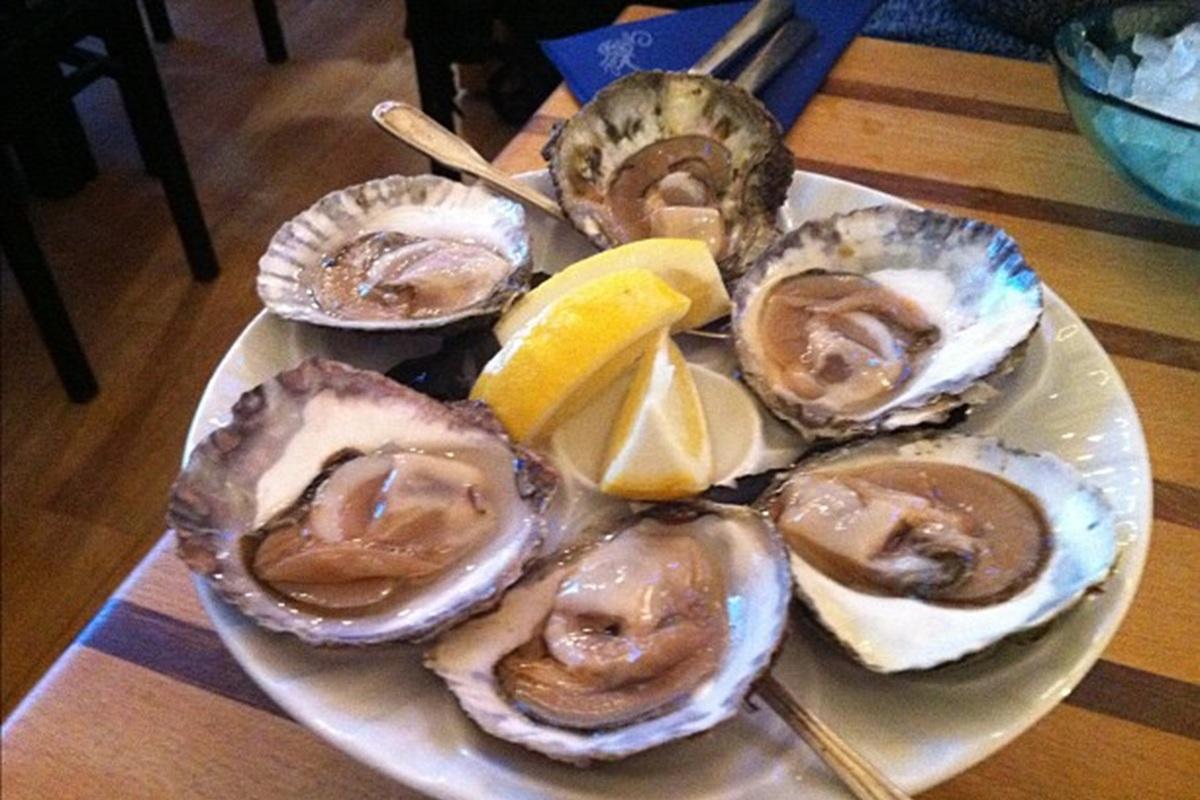 Первая арктическая устричная ферма появится в Мурманской области