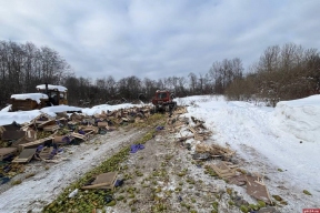 Польские груши нашли печальный конец под Себежем