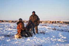 Власти Чукотки поддержат подготовку кадров для оленеводства в рамках нацпроекта