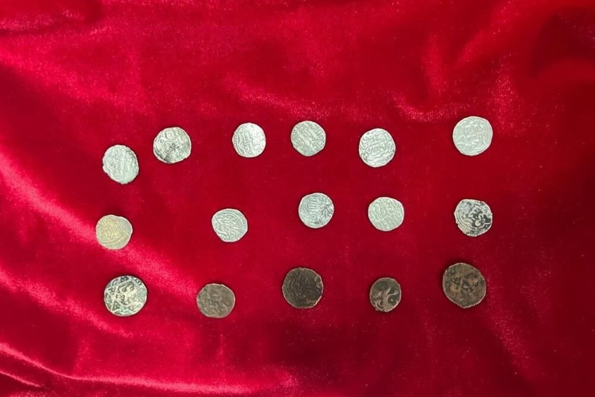 Специалисты передали музею в Назрани 16 монет Золотой Орды