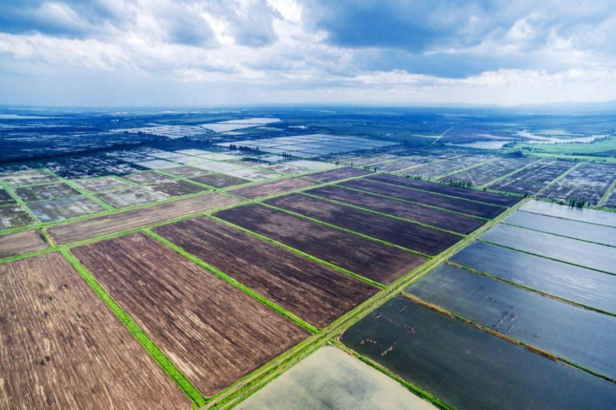 Аграрии Адыгеи задействовали почти все сельскохозяйственные земли республики