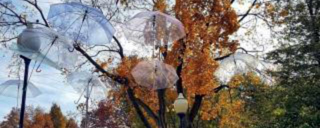 В центре Рязани организовали аллею парящих зонтиков