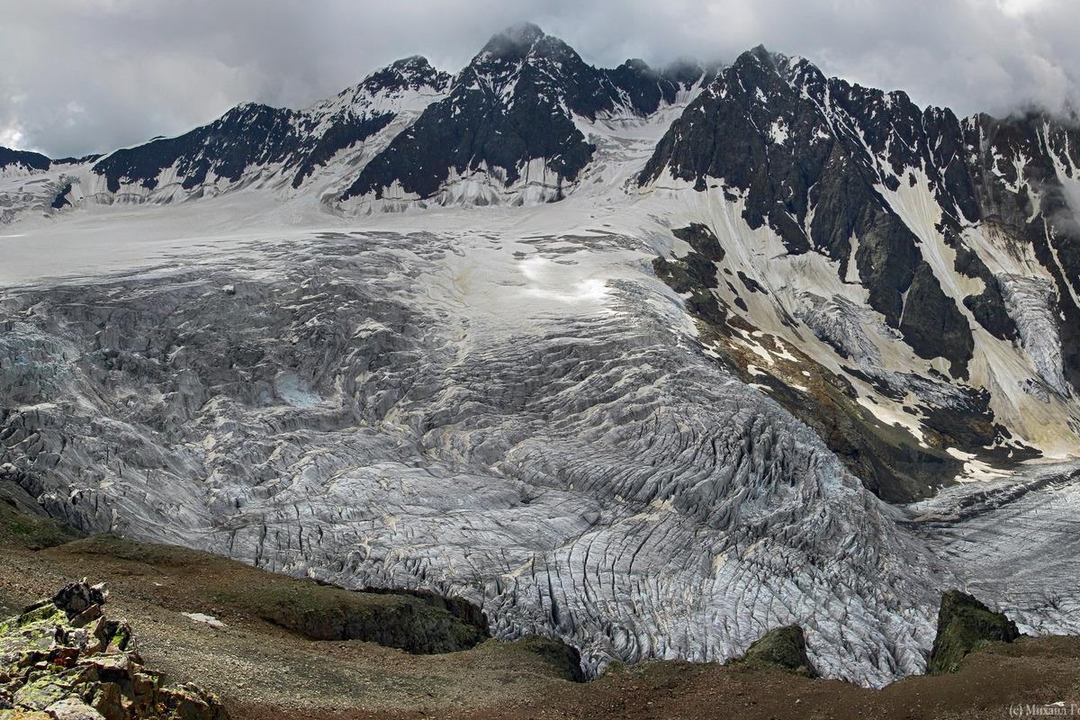 Ученые РАН рассказали, как насекомые адаптировались к таянию ледников на Кавказе