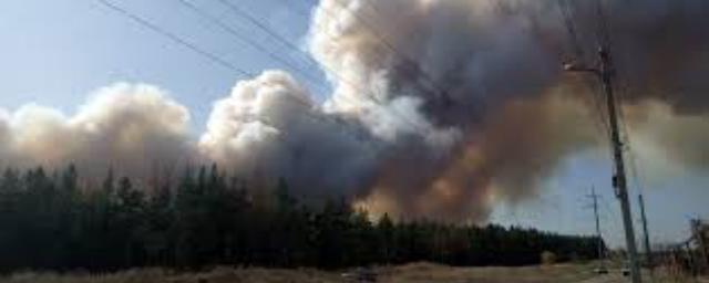 На тушение пожаров в Воронежской области отправились спасатели из шести регионов