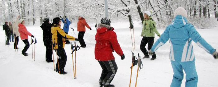 Пожилым жителям Егорьевска предлагают выбрать зимние занятия