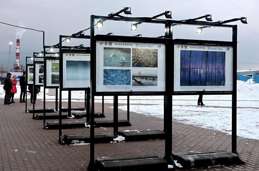 В Пущино закончили прием работ на Х Конкурс научной фотографии «Стихии науки»