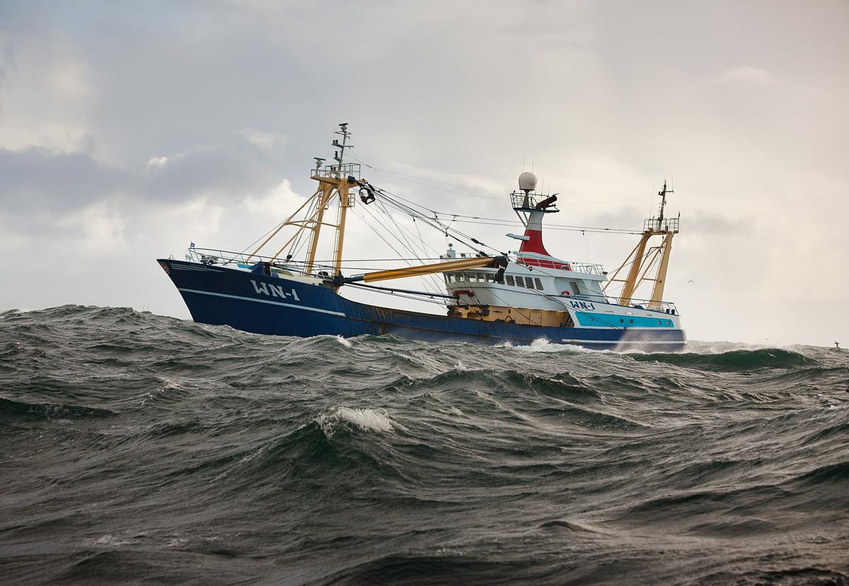 В ГД не исключили денонсации договора о рыболовстве в Беринговом проливе