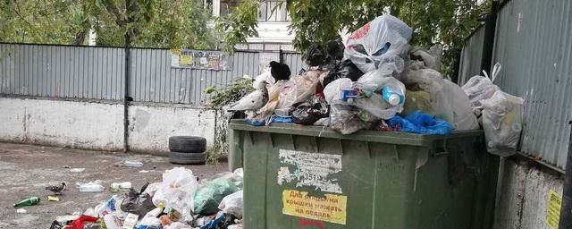 Минэкологии отреагировало на проблемы с вывозом мусора в Челябинске
