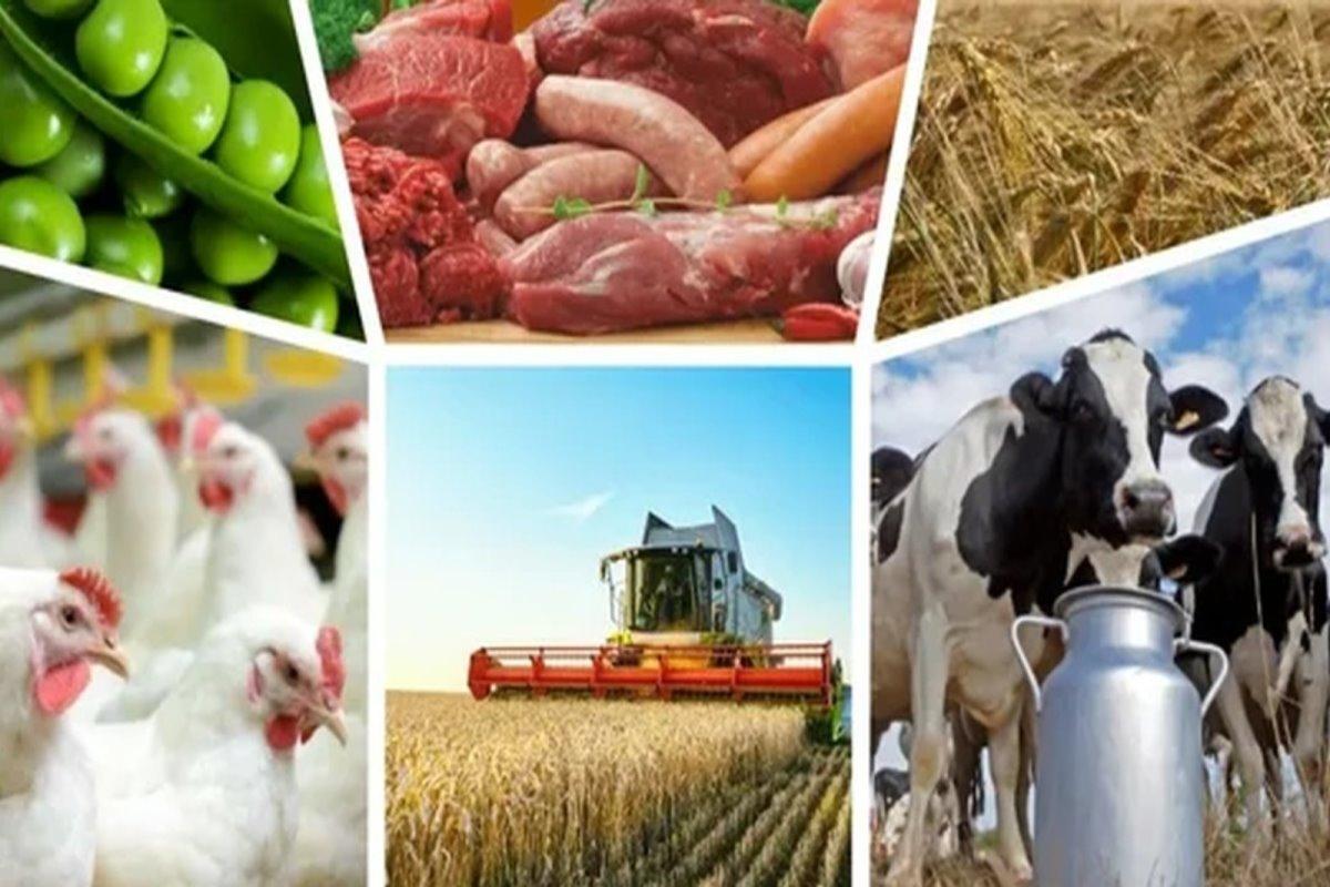 Внешнеторговый оборот Татарстана в 2024 году составил свыше 16 млрд. долларов