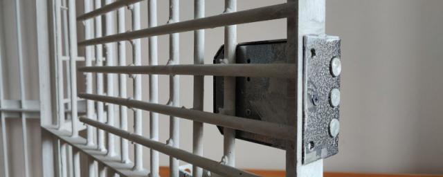 Заключенного в Забайкалье оштрафовали за карты с нацистской символикой