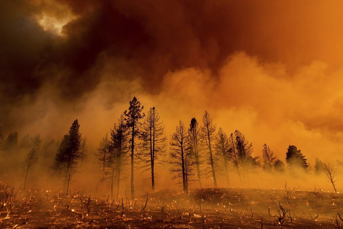 В Бурятии из-за сухой грозы с новой силой разгорелся лесной пожар