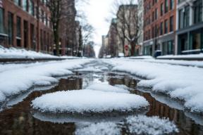 Пятикова: Заносы пыльцы с юга уже фиксируются в Подмосковье