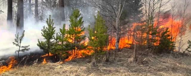 В Волгоградской области увеличили количество противопожарных рейдов