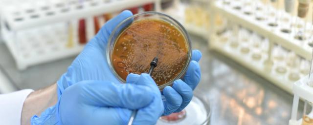 В Оренбургской области обнаружены еще 76 заразившихся коронавирусом