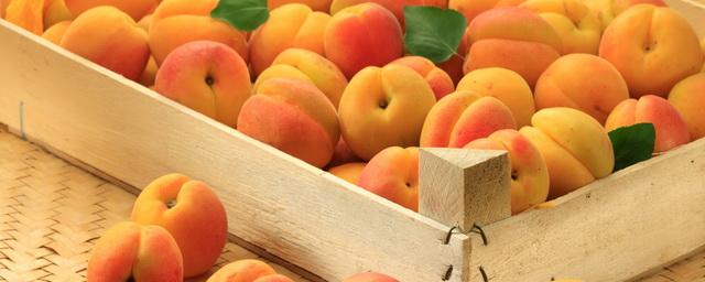 Нутрициолог Листошенков рассказал, как правильно выбирать сезонные фрукты в июне