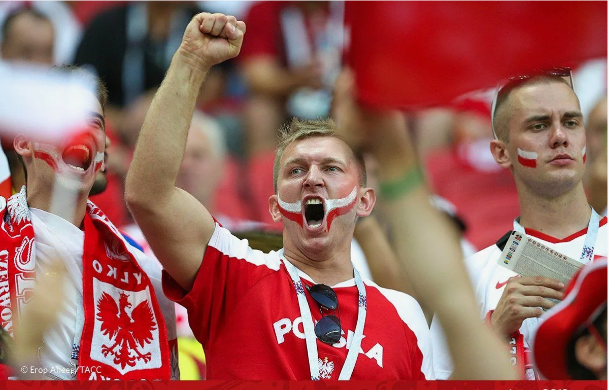 Фанаты сборной Польши устроили беспорядки в Германии на Евро-2024