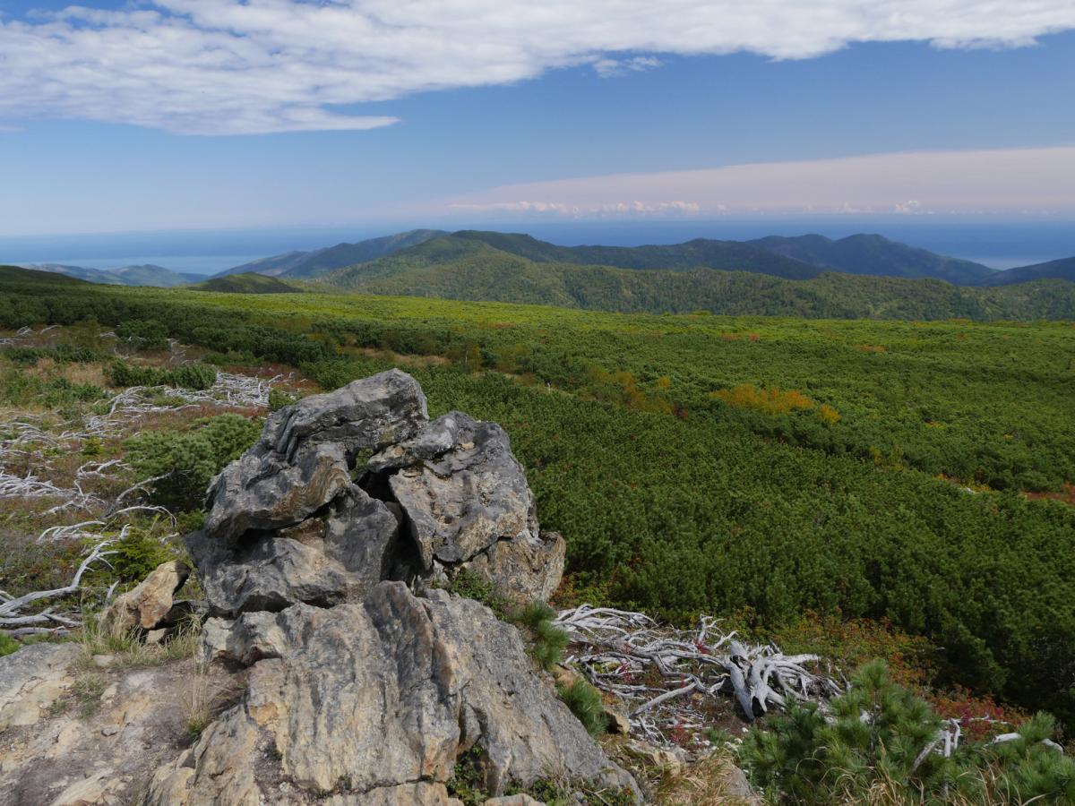 Жителей Южно-Сахалинска 10 июля приглашают совершить восхождение на гору Быкова