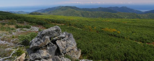 Жителей Южно-Сахалинска 10 июля приглашают совершить восхождение на гору Быкова