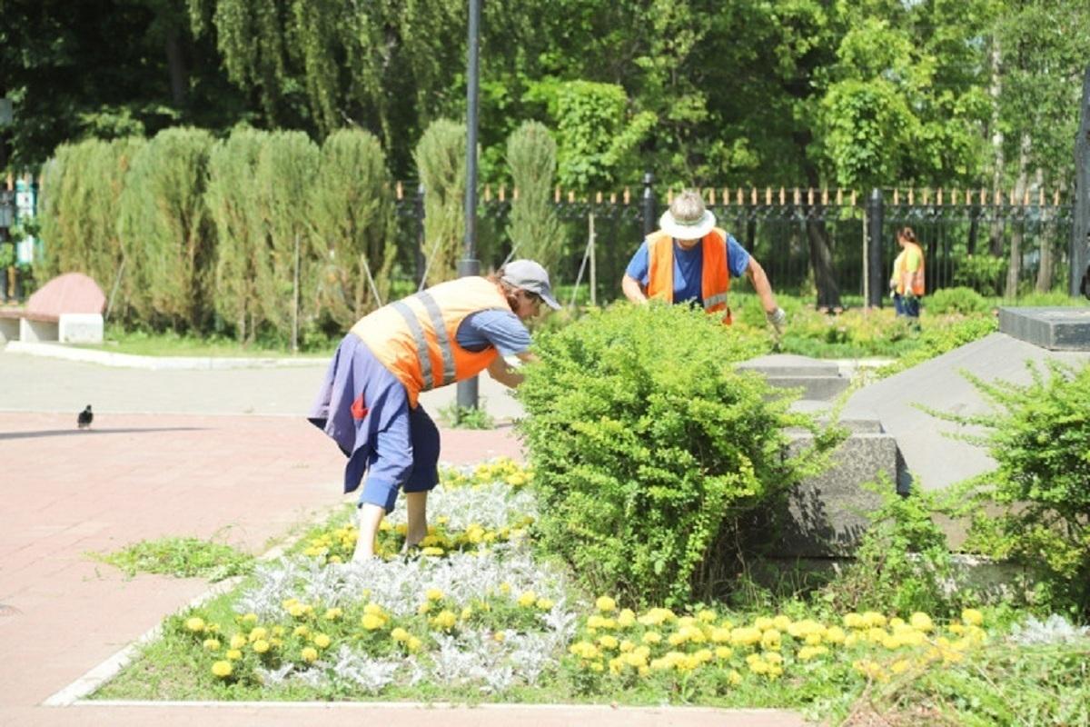Новая зеленая зона появилась в Туле