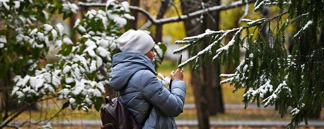 В Новосибирск на два дня придет оттепель